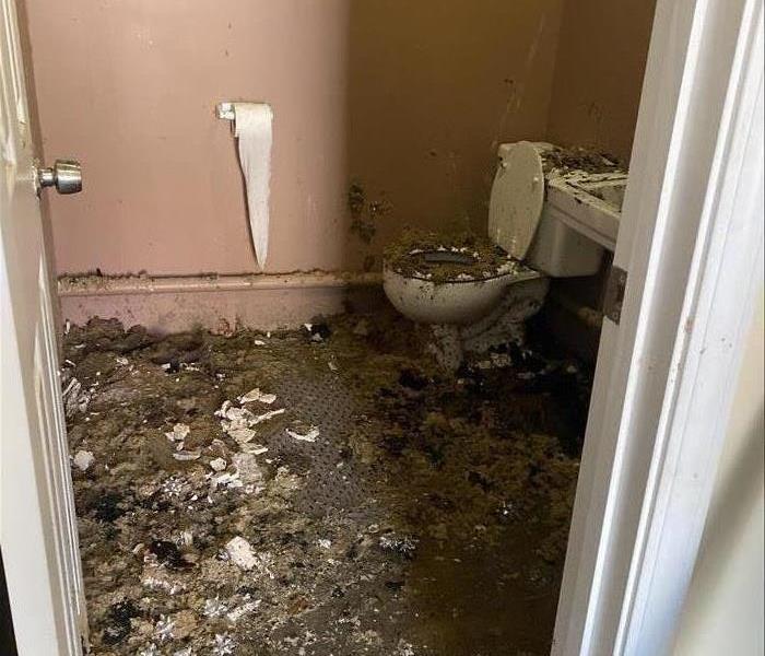 Bathroom with insulation fallen after fire